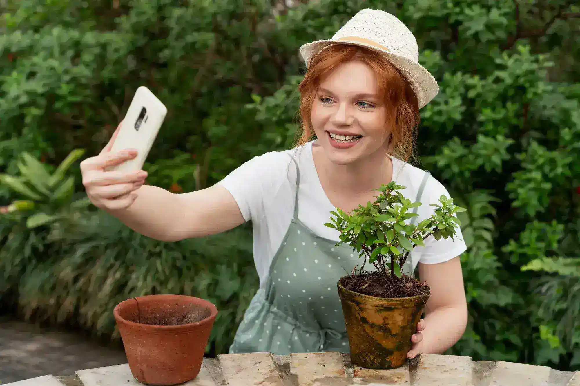 Providing gardening tips and advice on YouTube for gardening