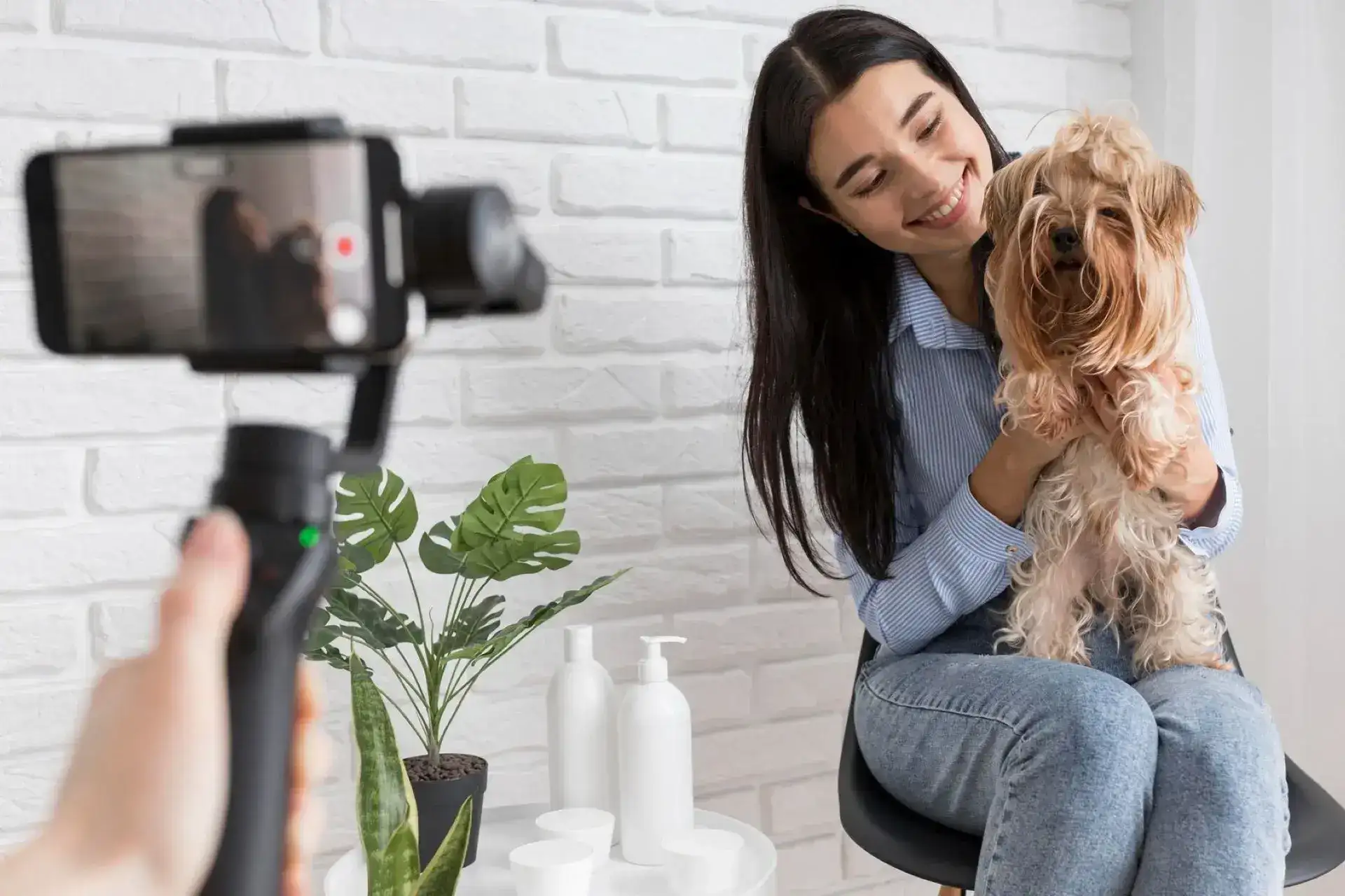 Sharing pet care tips and cute animal videos for YouTube pet owners